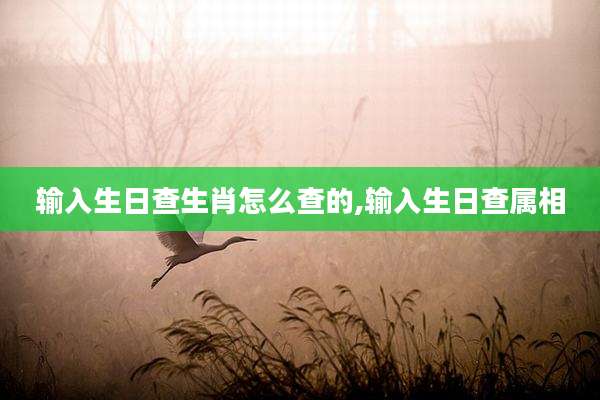 输入生日查生肖怎么查的,输入生日查属相
