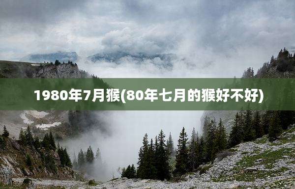 1980年7月猴(80年七月的猴好不好)