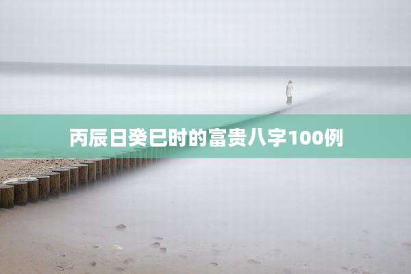 丙辰日癸巳时的富贵八字100例