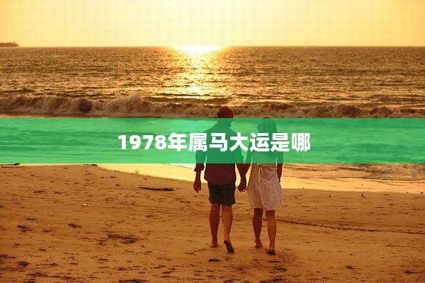 1978年属马大运是哪