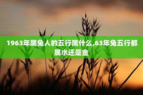1963年属兔人的五行属什么,63年兔五行都属水还是金
