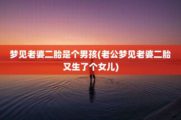 梦见老婆二胎是个男孩(老公梦见老婆二胎又生了个女儿)