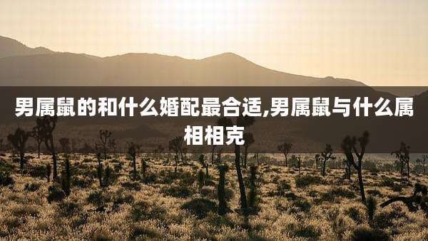 男属鼠的和什么婚配最合适,男属鼠与什么属相相克