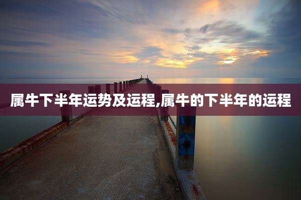 属牛下半年运势及运程,属牛的下半年的运程