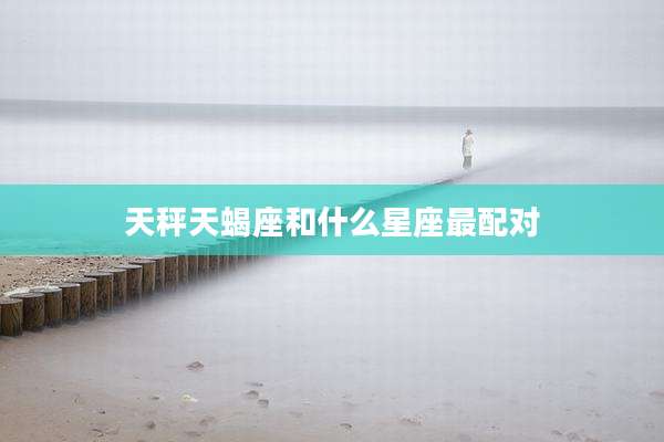 天秤天蝎座和什么星座最配对