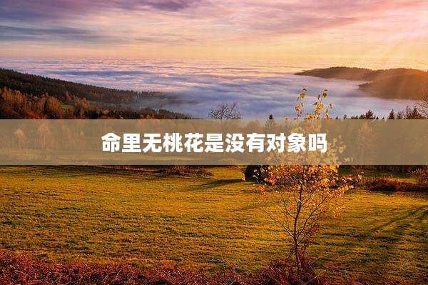 命里无桃花是没有对象吗