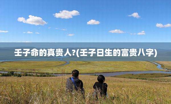 壬子命的真贵人?(壬子日生的富贵八字)