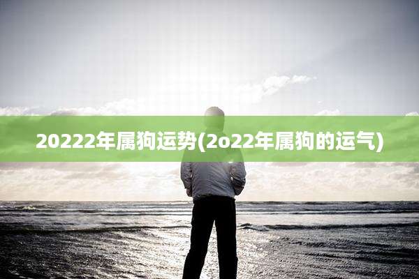 20222年属狗运势(2o22年属狗的运气)