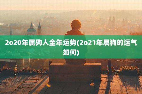2o20年属狗人全年运势(2o21年属狗的运气如何)