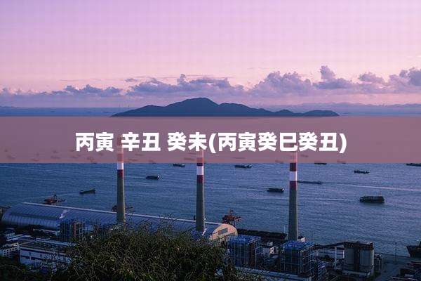 丙寅 辛丑 癸未(丙寅癸巳癸丑)