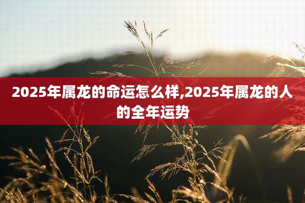 2025年属龙的命运怎么样,2025年属龙的人的全年运势