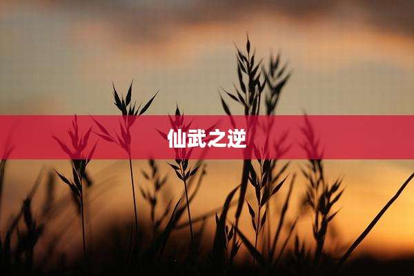 仙武之逆