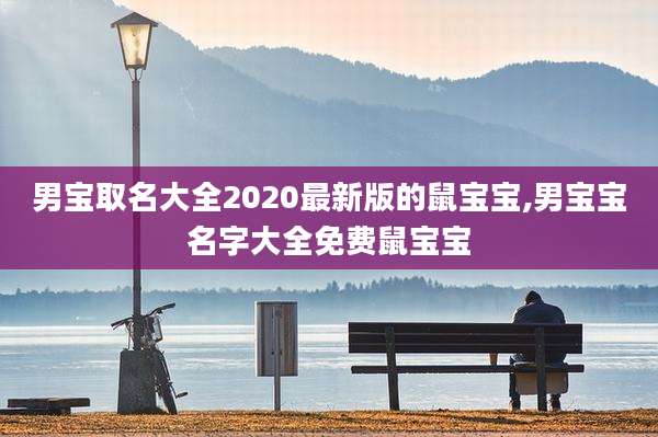 男宝取名大全2020最新版的鼠宝宝,男宝宝名字大全免费鼠宝宝