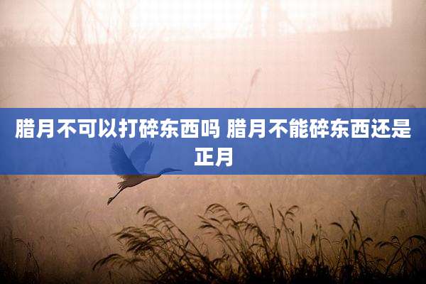 腊月不可以打碎东西吗 腊月不能碎东西还是正月