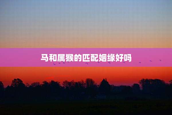 马和属猴的匹配姻缘好吗