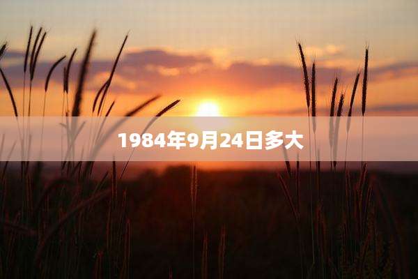 1984年9月24日多大