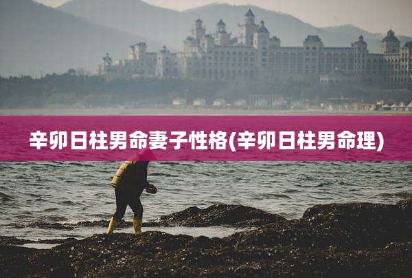 辛卯日柱男命妻子性格(辛卯日柱男命理)