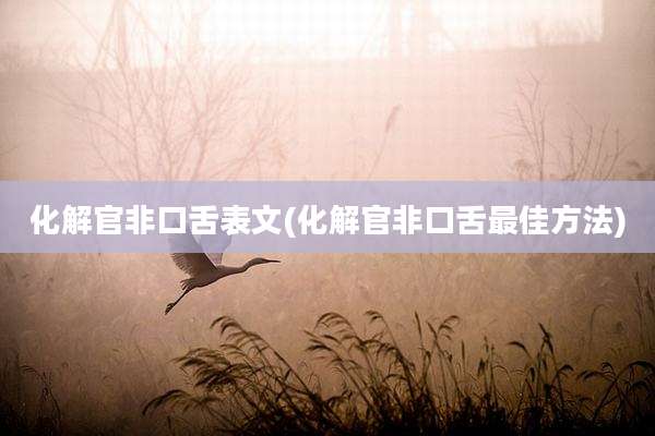 化解官非口舌表文(化解官非口舌最佳方法)