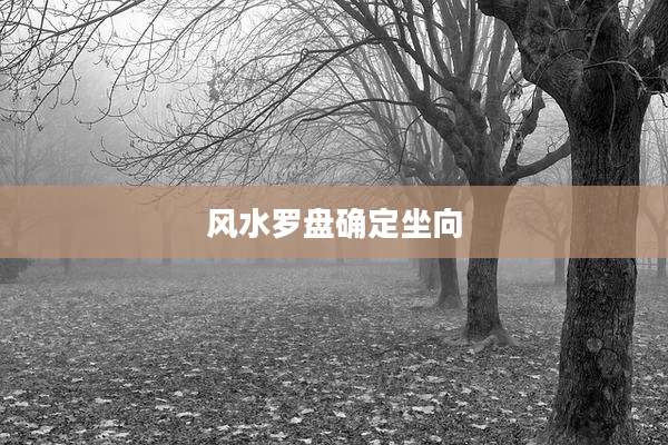 风水罗盘确定坐向
