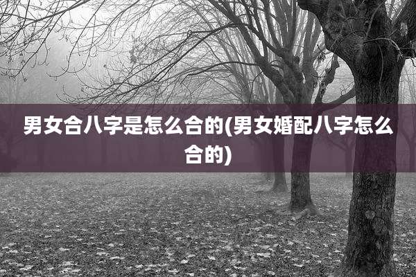 男女合八字是怎么合的(男女婚配八字怎么合的)
