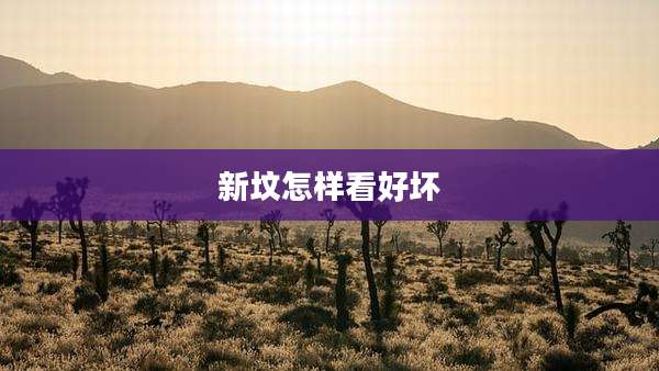 新坟怎样看好坏