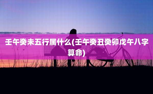 壬午癸未五行属什么(壬午癸丑癸卯戊午八字算命)