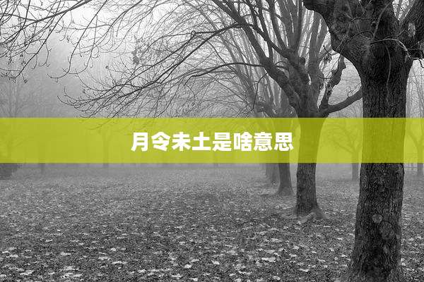 月令未土是啥意思