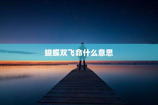 蝴蝶双飞命什么意思