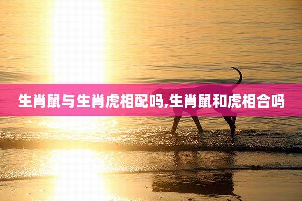 生肖鼠与生肖虎相配吗,生肖鼠和虎相合吗