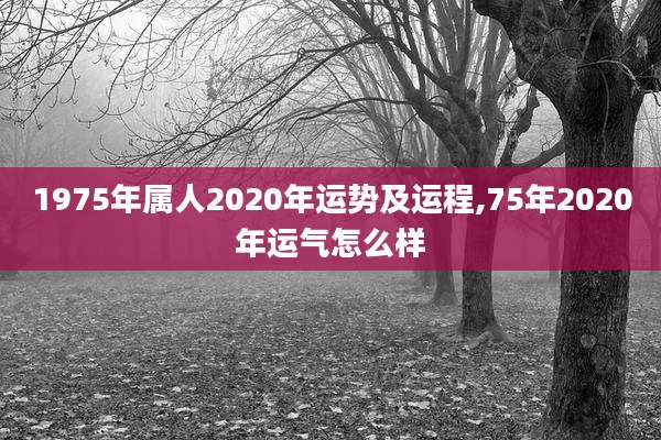 1975年属人2020年运势及运程,75年2020年运气怎么样
