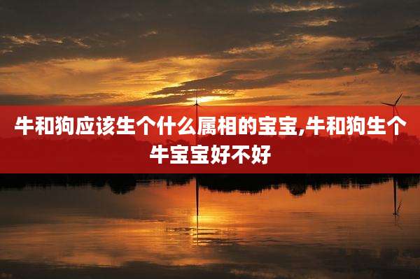 牛和狗应该生个什么属相的宝宝,牛和狗生个牛宝宝好不好