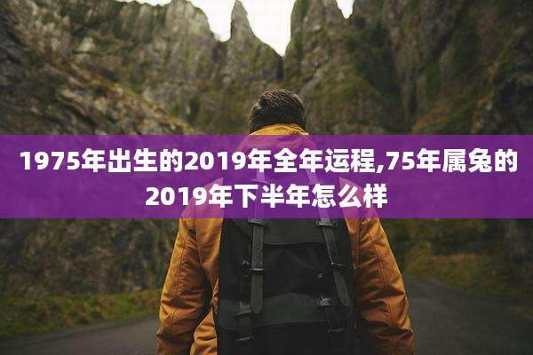 1975年出生的2019年全年运程,75年属兔的2019年下半年怎么样