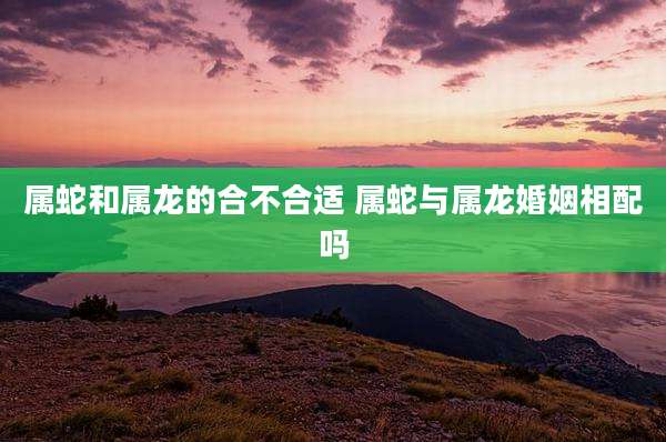 属蛇和属龙的合不合适 属蛇与属龙婚姻相配吗