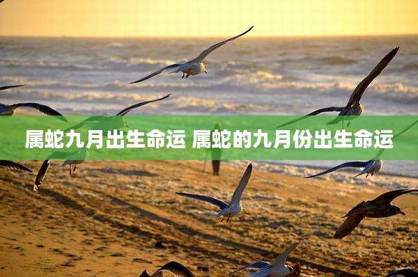属蛇九月出生命运 属蛇的九月份出生命运