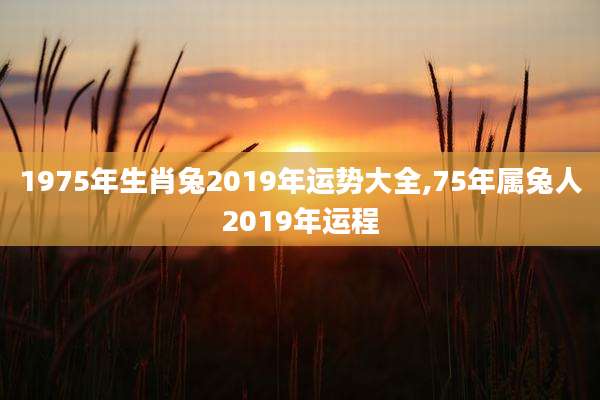 1975年生肖兔2019年运势大全,75年属兔人2019年运程