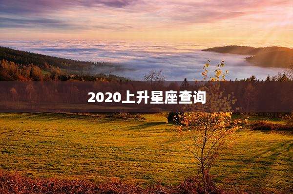 2020上升星座查询