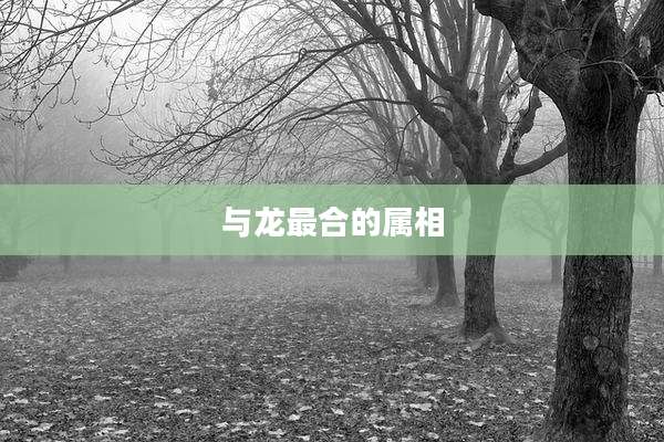 与龙最合的属相