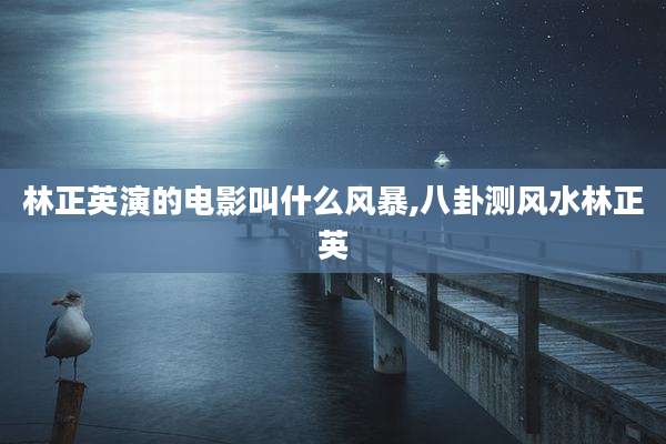 林正英演的电影叫什么风暴,八卦测风水林正英