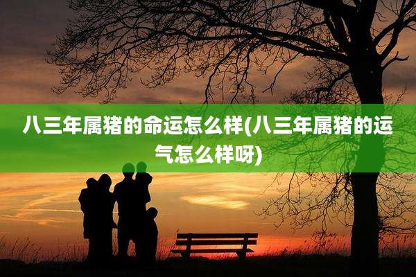 八三年属猪的命运怎么样(八三年属猪的运气怎么样呀)