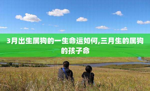 3月出生属狗的一生命运如何,三月生的属狗的孩子命