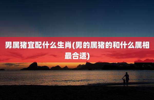 男属猪宜配什么生肖(男的属猪的和什么属相最合适)