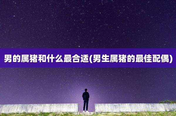 男的属猪和什么最合适(男生属猪的最佳配偶)