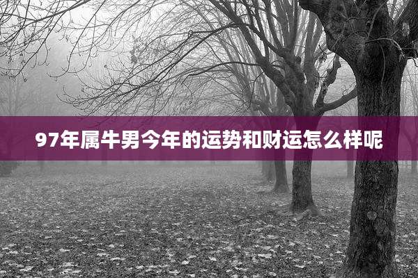 97年属牛男今年的运势和财运怎么样呢