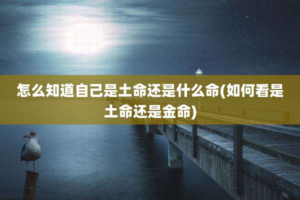 怎么知道自己是土命还是什么命(如何看是土命还是金命)