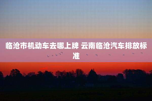 临沧市机动车去哪上牌 云南临沧汽车排放标准