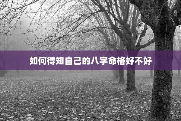 如何得知自己的八字命格好不好