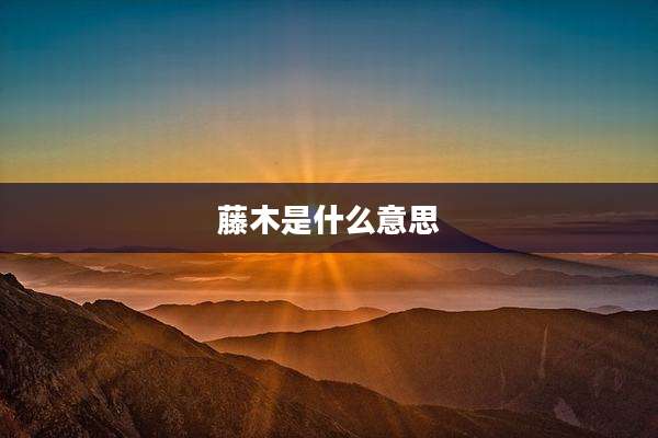 藤木是什么意思
