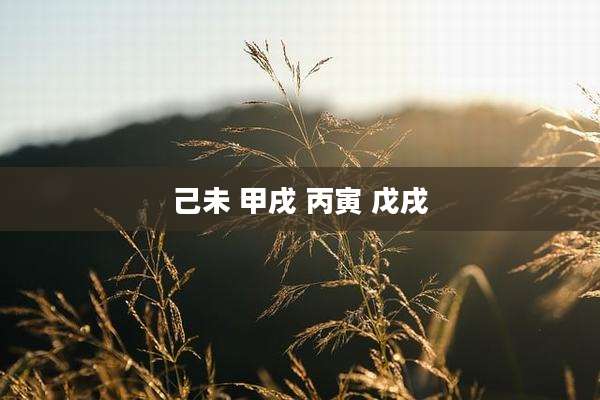 己未 甲戌 丙寅 戊戌