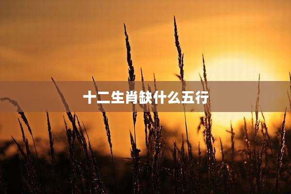 十二生肖缺什么五行