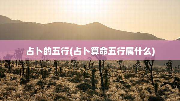 占卜的五行(占卜算命五行属什么)